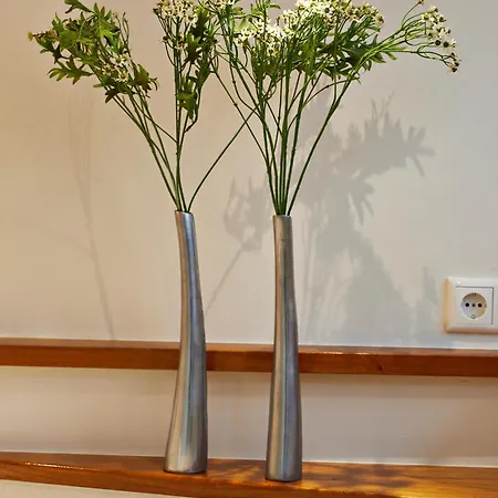 Your Houseboat 船屋 阿姆斯特丹